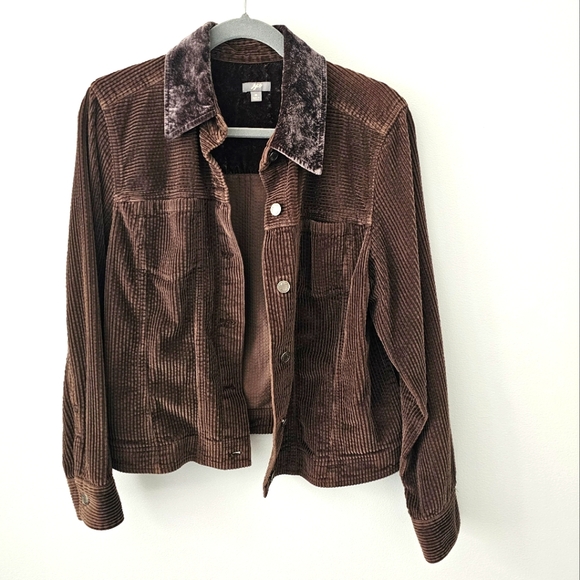J. Jill Corduroy Button Down Jacket with Velvet Collar - Picture 4 of 12